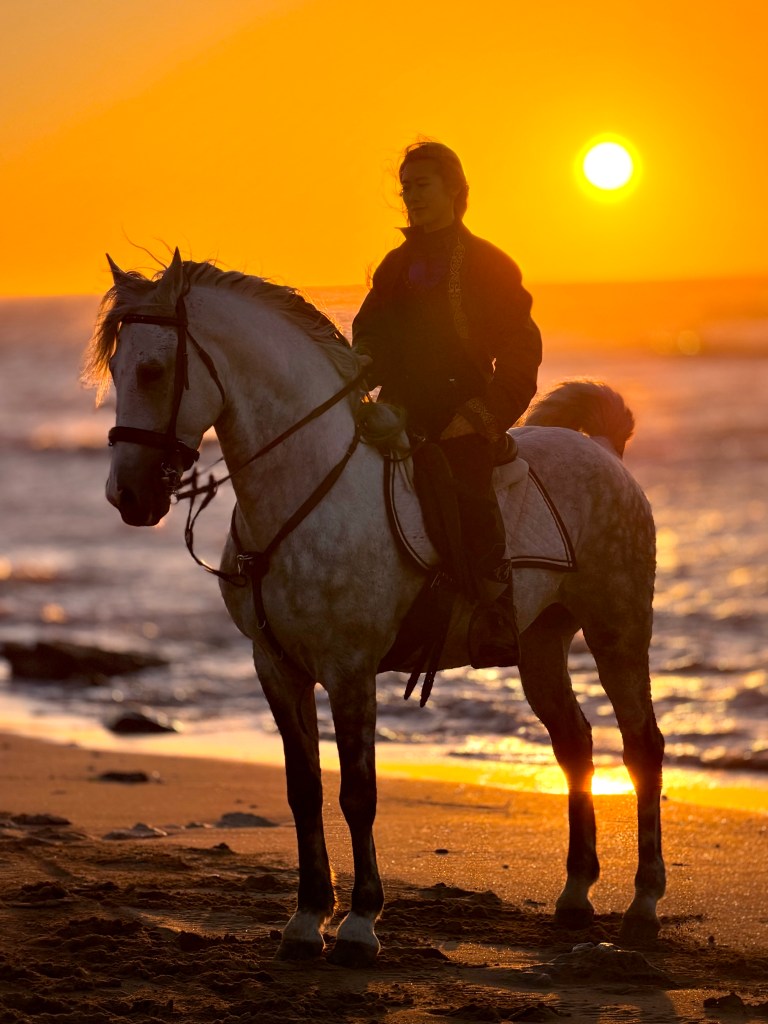 Ranch Essaouira healthy horse and multilingual guide